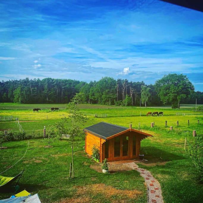 Wunderschoene Ferienwohnung Auf Dem Bauernhof Greven Exterior photo