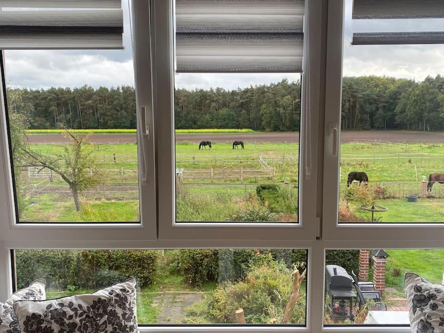 Wunderschoene Ferienwohnung Auf Dem Bauernhof Greven Exterior photo